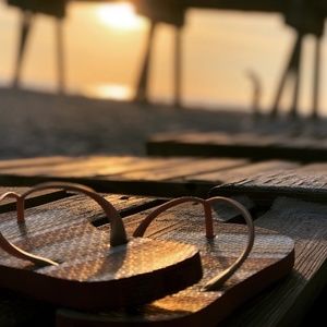 Meet your Posher, Dana